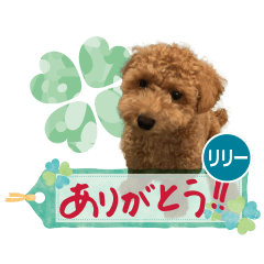 [LINEスタンプ] リリーちゃん Vol.1