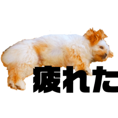 [LINEスタンプ] ヴァーデルすたんぷ