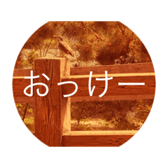 [LINEスタンプ] とりとく