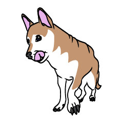 [LINEスタンプ] 柴犬 いっちゃん 2の画像（メイン）