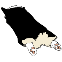 [LINEスタンプ] 黒コーギーの光太郎 No.3