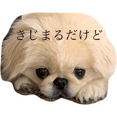 [LINEスタンプ] きじまるだけど