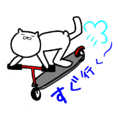 [LINEスタンプ] 細目な猫くんの日常スタンプ
