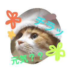 [LINEスタンプ] らぶアニマル