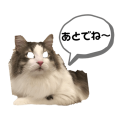[LINEスタンプ] ぴのスタンプ♡