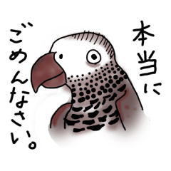 [LINEスタンプ] ちょっと、とり達