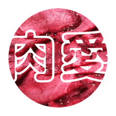 [LINEスタンプ] 生のお肉で。シンプルな一言。