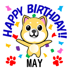 [LINEスタンプ] 柴犬の誕生日おめでとう 5月