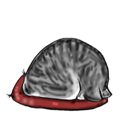 [LINEスタンプ] 使えない猫男子ふくまめスタンプ