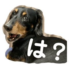 [LINEスタンプ] ラッキーアンラッキー