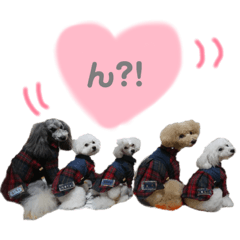 [LINEスタンプ] なっつんfamily 2