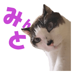 [LINEスタンプ] 秋田猫ミント！