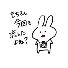 [LINEスタンプ] カメラ大好きうさぎスタンプ その②