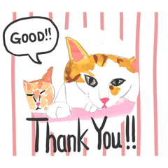 P会員猫のつぶやき