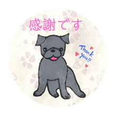 [LINEスタンプ] 黒パグ 日常会話＋黒ペキ