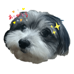 [LINEスタンプ] タルト様