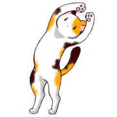 [LINEスタンプ] 45匹の関西弁猫スタンプの画像（メイン）