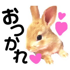 [LINEスタンプ] はねすんちのうさたん