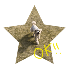 [LINEスタンプ] マルプーノンタン2