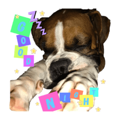 [LINEスタンプ] チビとサディ