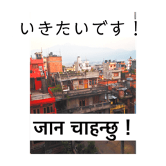 [LINEスタンプ] 猫とネパール語1