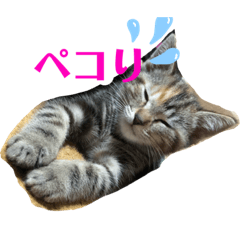 [LINEスタンプ] 姫とムギ