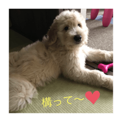 [LINEスタンプ] のえるとのあスタンプ
