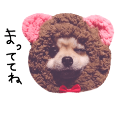 [LINEスタンプ] ななとりり