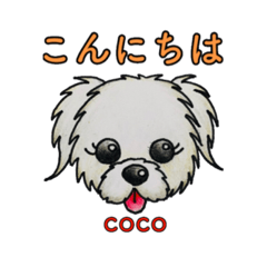 [LINEスタンプ] マルポメCOCO