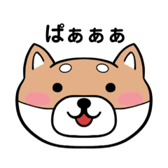 [LINEスタンプ] 表情豊かな柴犬顔スタンプ