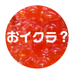 [LINEスタンプ] イクラ大好き！イクラで一言。