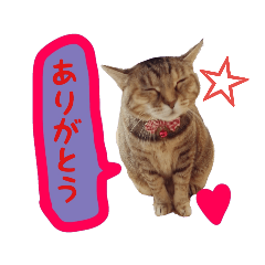 [LINEスタンプ] ちいちゃんくまちゃんず