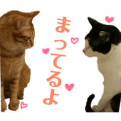 [LINEスタンプ] ハナandレオ 1
