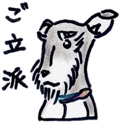 [LINEスタンプ] ミニチュアシュナウザーの日常生活