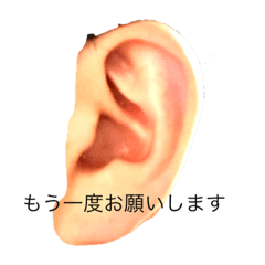 [LINEスタンプ] 私の舌と鼻と耳はあなたの心です