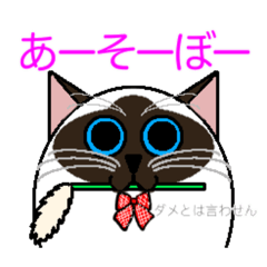 [LINEスタンプ] ラグドールのラテさんとクラゲのクーさん