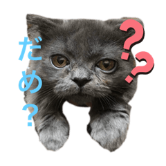 [LINEスタンプ] ティーダのスタンプ