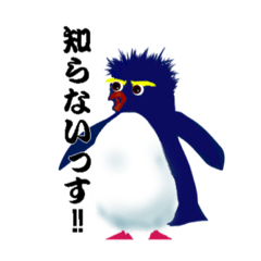 [LINEスタンプ] ペンギンのトサカです。の画像（メイン）