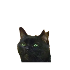 [LINEスタンプ] ゆめかわ猫のかあたん4