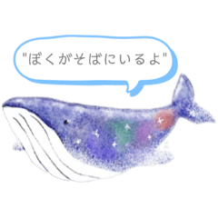 [LINEスタンプ] シロナガスクジラの癒しスタンプ