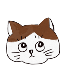 [LINEスタンプ] 最近太ってきた猫