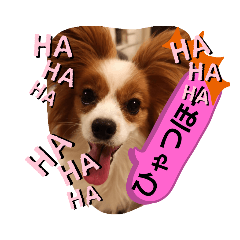 [LINEスタンプ] パピヨンのチャックとナナ