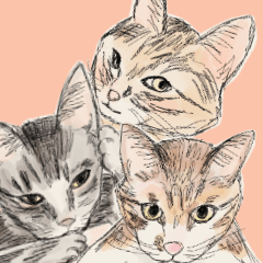 [LINEスタンプ] 三匹の猫（ピーナッツ、もち、ごま）の画像（メイン）