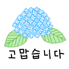 [LINEスタンプ] 6月★[韓国語]紫陽花～鎌倉の旅行～の画像（メイン）