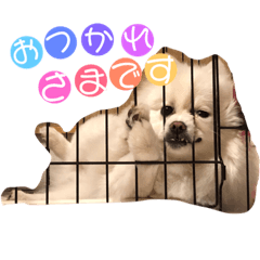 [LINEスタンプ] モカラニアン