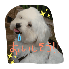 [LINEスタンプ] マロン3