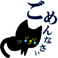 [LINEスタンプ] 黒猫の常に使えるスタンプの画像（メイン）