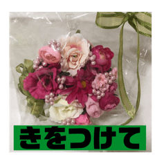 [LINEスタンプ] フラワーシャワー ③