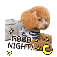 [LINEスタンプ] ラキちゃん2