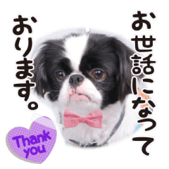 [LINEスタンプ] 190514143056.58232K3.